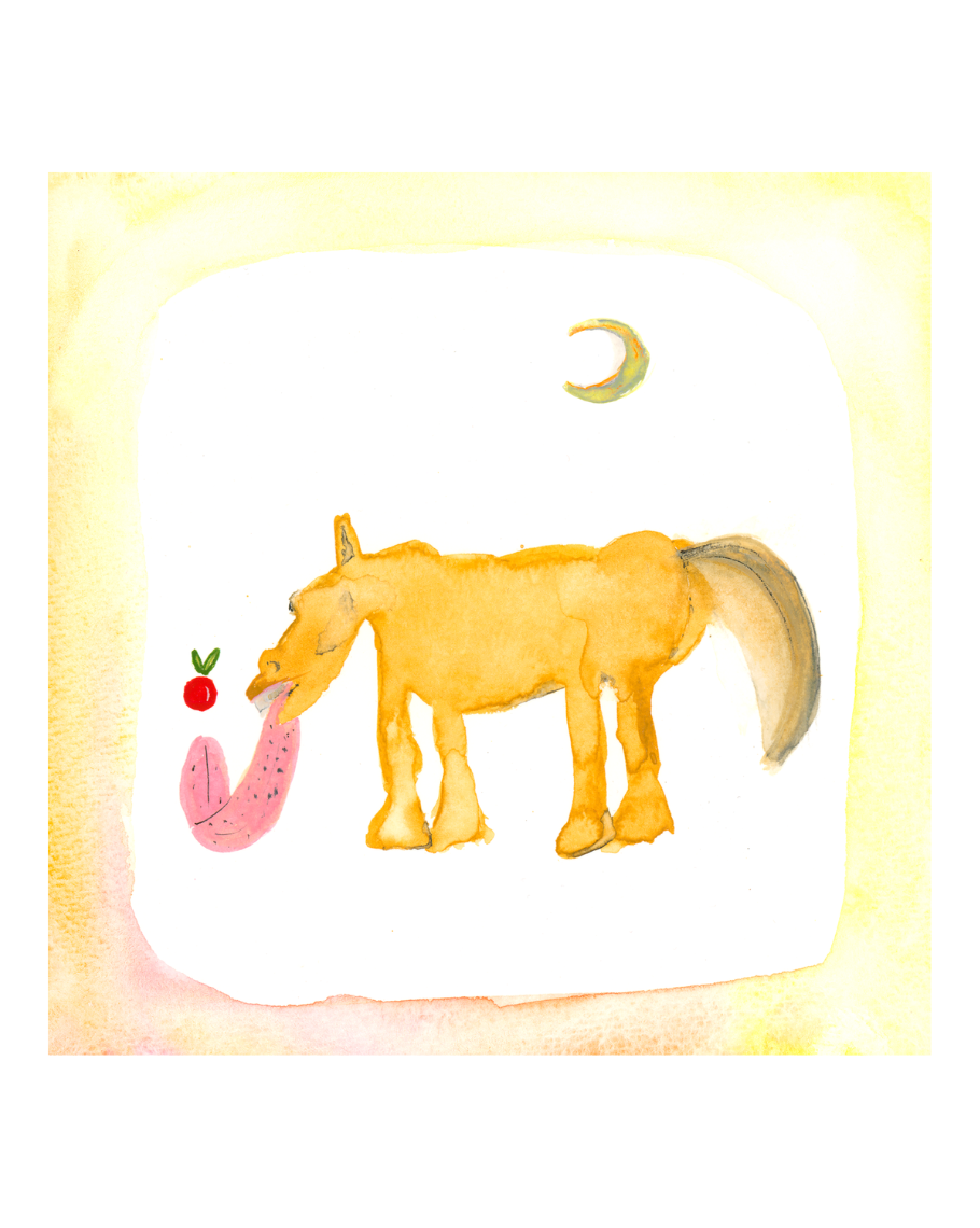 Exquisite Attention (2024)